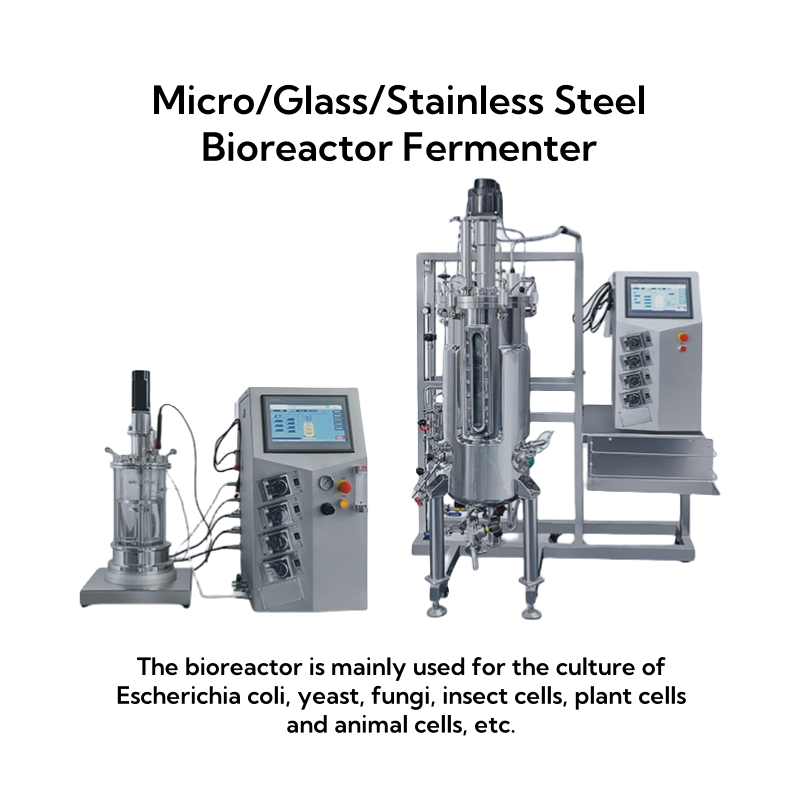 Bioreactor Fermenter