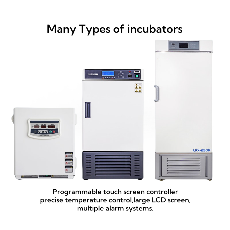 Incubator