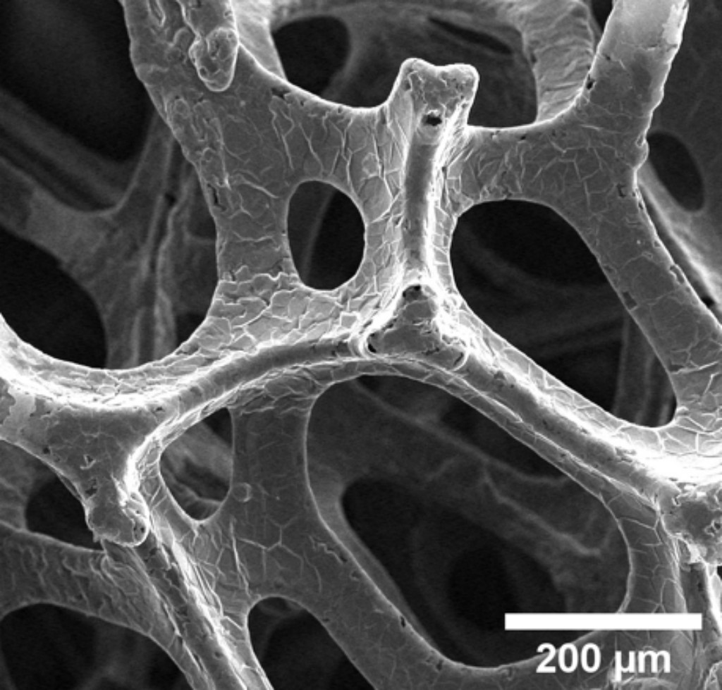 Advanced Conductive Materials Graphene Foam for Experimental Research 1